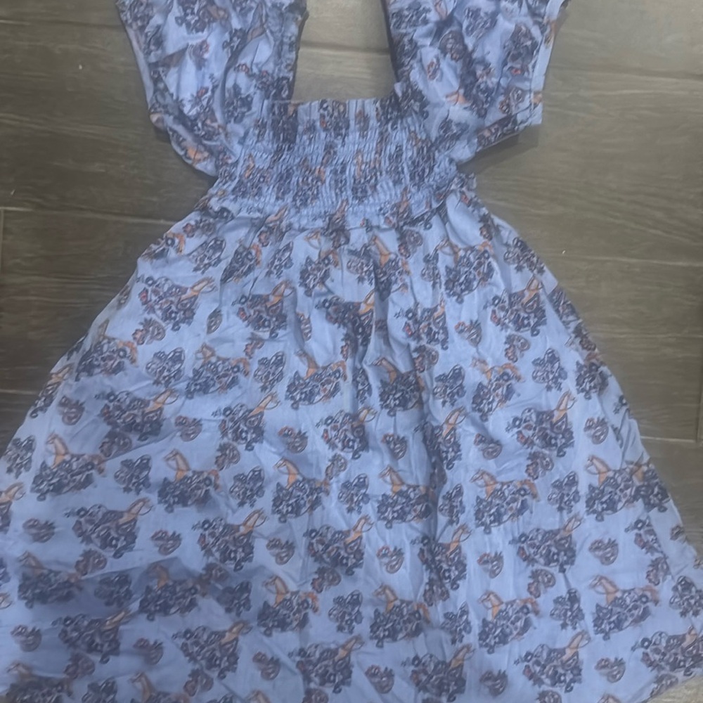 Janie and Jack Light Blue Floral Dress with Navy and Peach Accents
